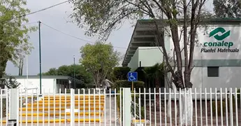 Ri&ntilde;a campal entre alumnos del Conalep