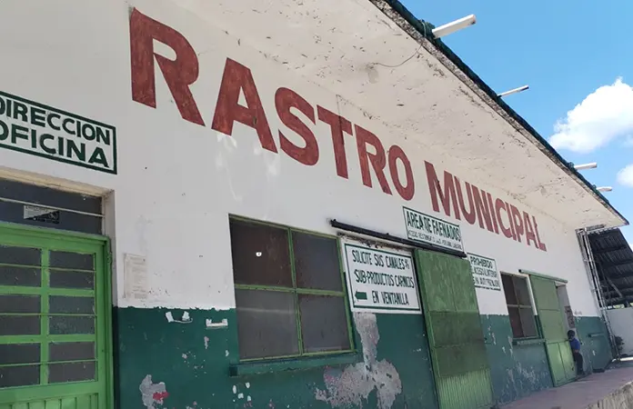 Baja la matanza en el Rastro Municipal
