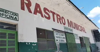 Baja la matanza en el Rastro Municipal