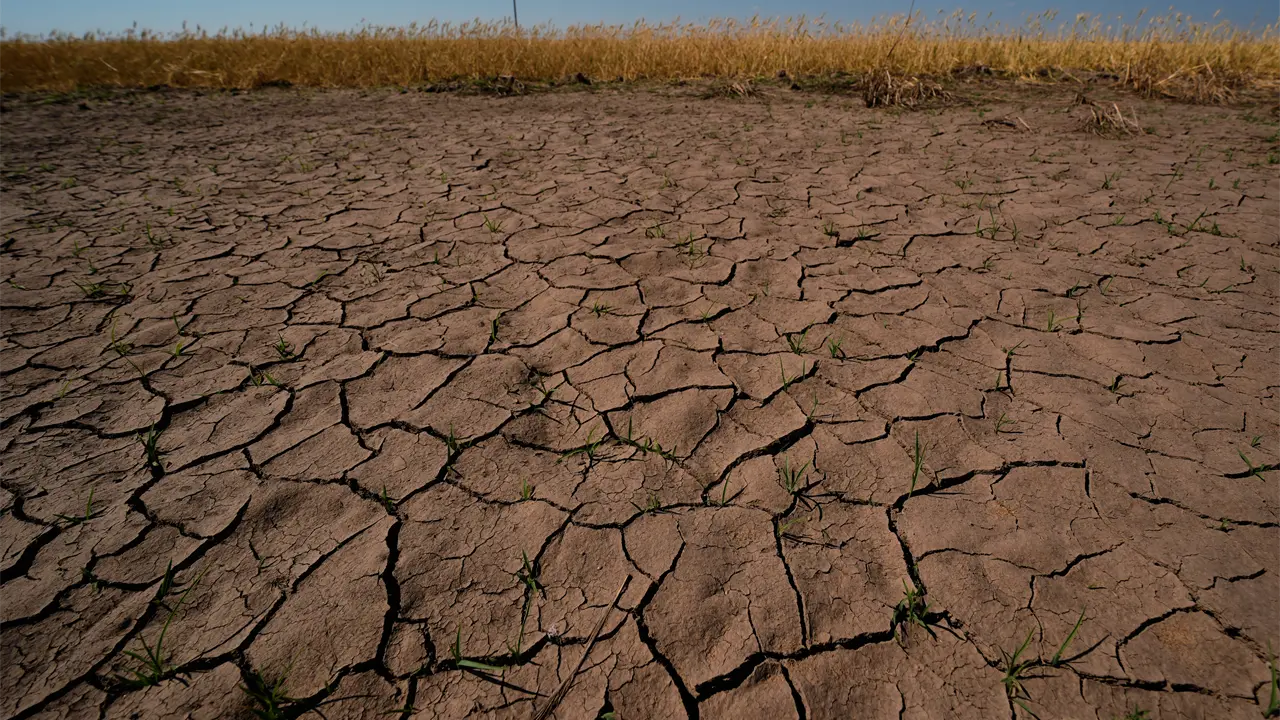 NOAA confirma formación de El Niño 2023 con impacto global