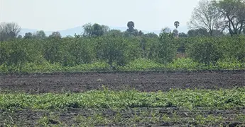 Cierra mes de mayo sin municipios con sequ&iacute;a 