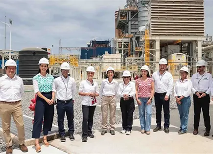 Fortalecer a la CFE es amar al pa&iacute;s: CSP