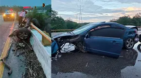 Tres j&oacute;venes resultan lesionados en un aparatoso accidente