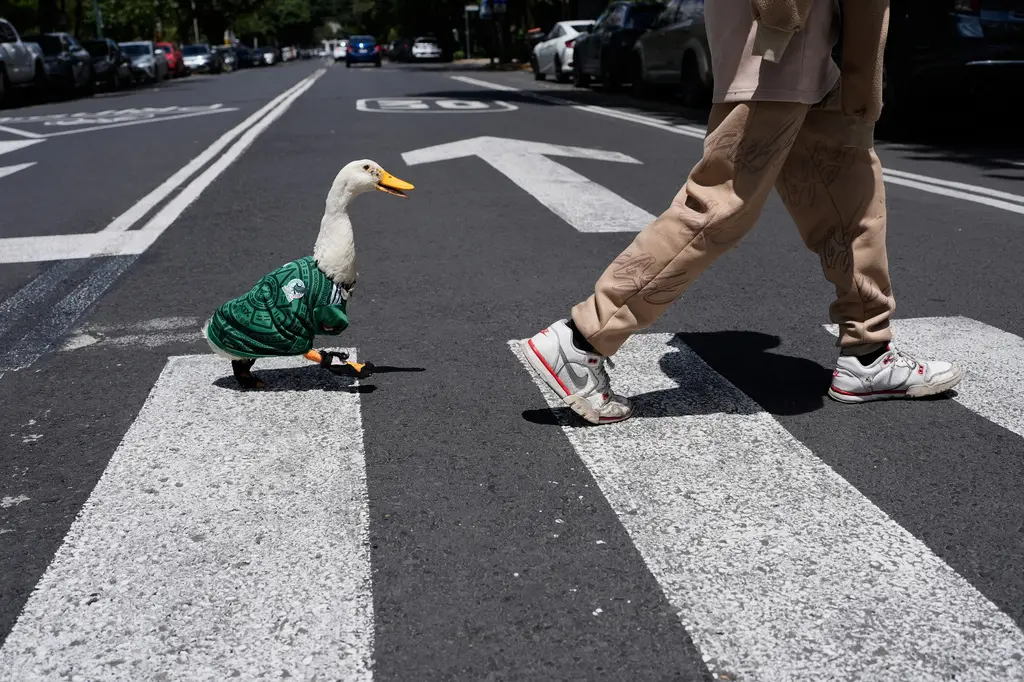 Pato Merlin gana fama en Ciudad de México tras inicio del Mundial