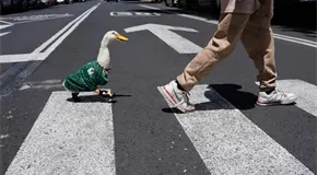 FIFA anuncia al pato Merl&iacute;n como embajador oficial
