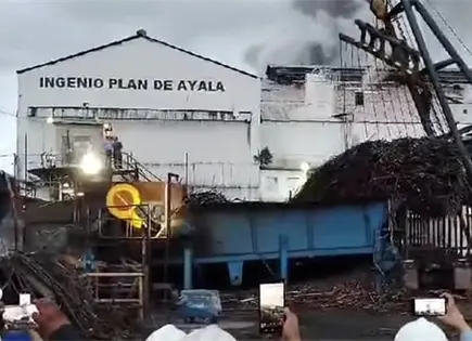 Termin&oacute; zafra en el Plan de Ayala