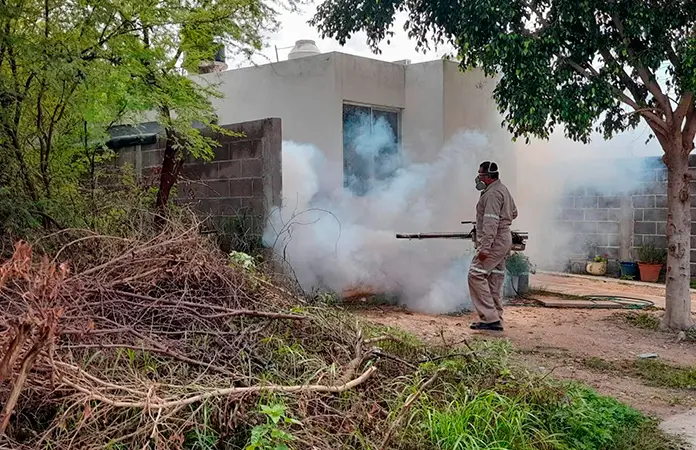Habrá jornada de fumigación