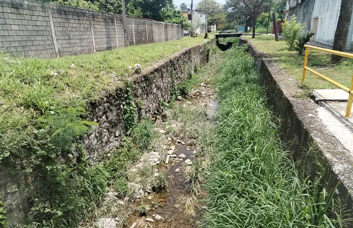 Lluvias obstruyen de nuevo arroyos