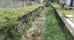 Lluvias obstruyen de nuevo arroyos