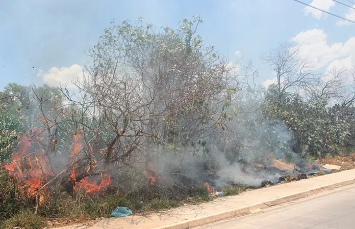 Por lluvias, hay hasta  40% menos incendios