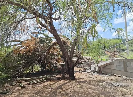 Solicitan apoyo para reconstruir barda de escuela Solicitan apoyo para reconstruir barda de escuela