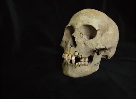 Cient&iacute;ficos hallan peste m&aacute;s antigua en Siberia: ADN en restos humanos