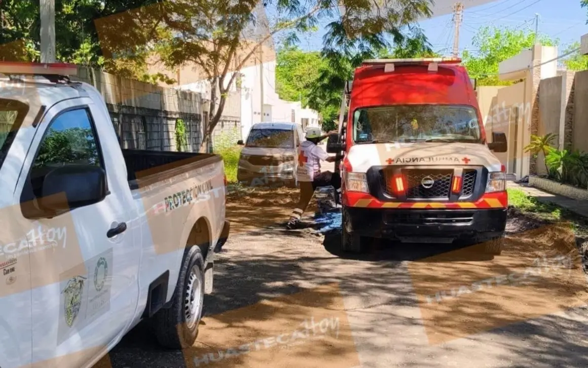 Muere ancianito al caer de escalera cuando podaba árbol