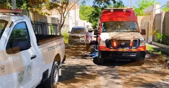 Muere ancianito al caer de escalera cuando podaba &aacute;rbol