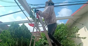 Retiran panal de abejas de escuela