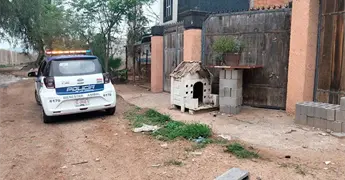 Ayuntamiento denuncia caso de maltrato animal