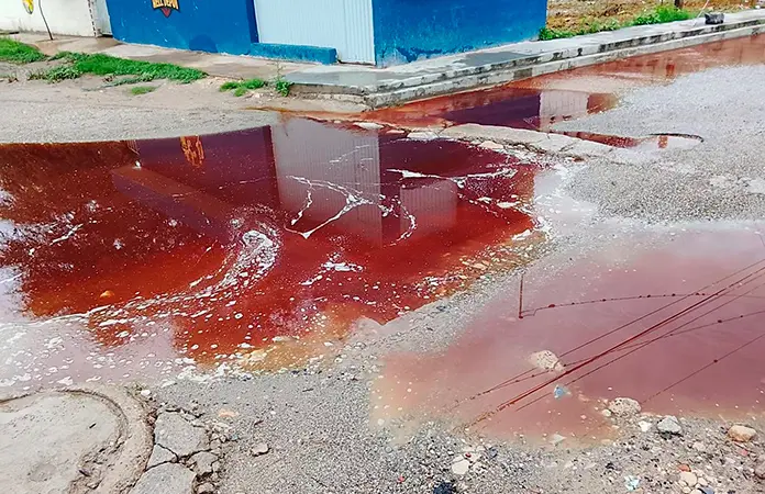Escurre agua con sangre del Rastro Municipal