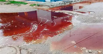 Escurre agua con sangre del Rastro Municipal
