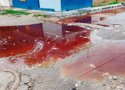 Escurre agua con sangre del Rastro Municipal Escurre agua con sangre del Rastro Municipal