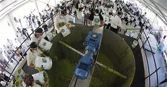 Jalisco prepar&oacute; guacamole r&eacute;cord