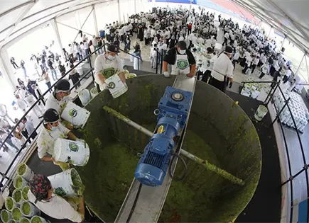 Jalisco prepar&oacute; guacamole r&eacute;cord