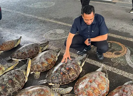 Policía de Bali incauta 21 tortugas protegidas y arresta sospechoso Policía de Bali incauta 21 tortugas protegidas y arresta sospechoso