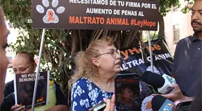 Reprochan animalistas debilidad de la fiscalía