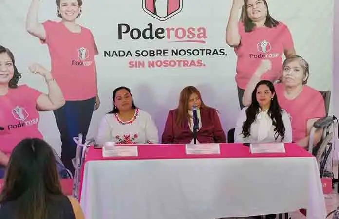 Buscan atender la violencia vs. mujeres con discapacidad