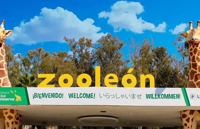 Gusano barrenador llega al zoológico de León