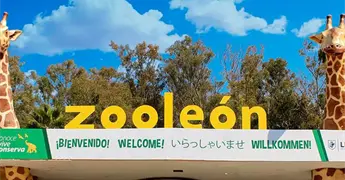 Gusano barrenador llega al zool&oacute;gico de Le&oacute;n