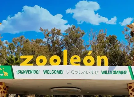 Gusano barrenador llega al zoológico de León Gusano barrenador llega al zoológico de León