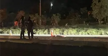 Muere hombre atropellado en carretera a Zacatecas