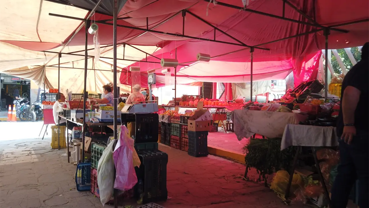 Comisiones avalan crear el Día del Tianguis en la capital
