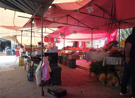 Comisiones avalan crear el Día del Tianguis en la capital Comisiones avalan crear el Día del Tianguis en la capital