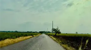 Matan y destazan ganado en zona Tének