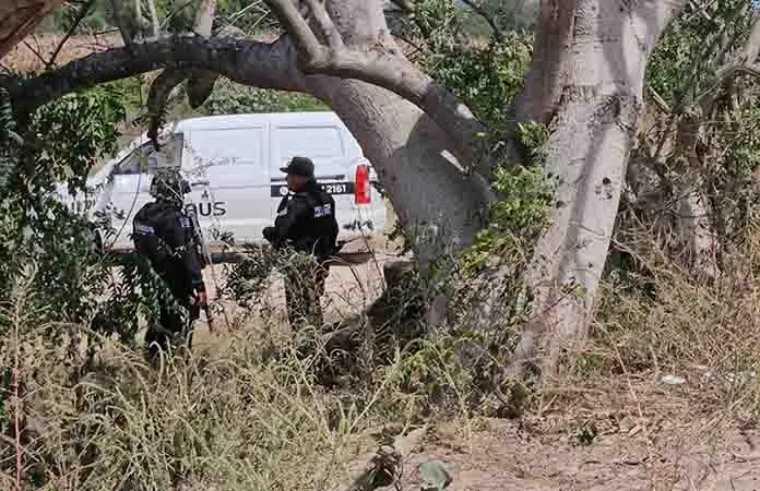 Hallan 3 osamentas en fosas de Rosario, Sin.