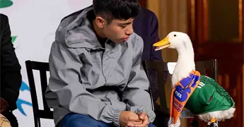 La fascinaci&oacute;n por los patos: personajes antes de Merl&iacute;n