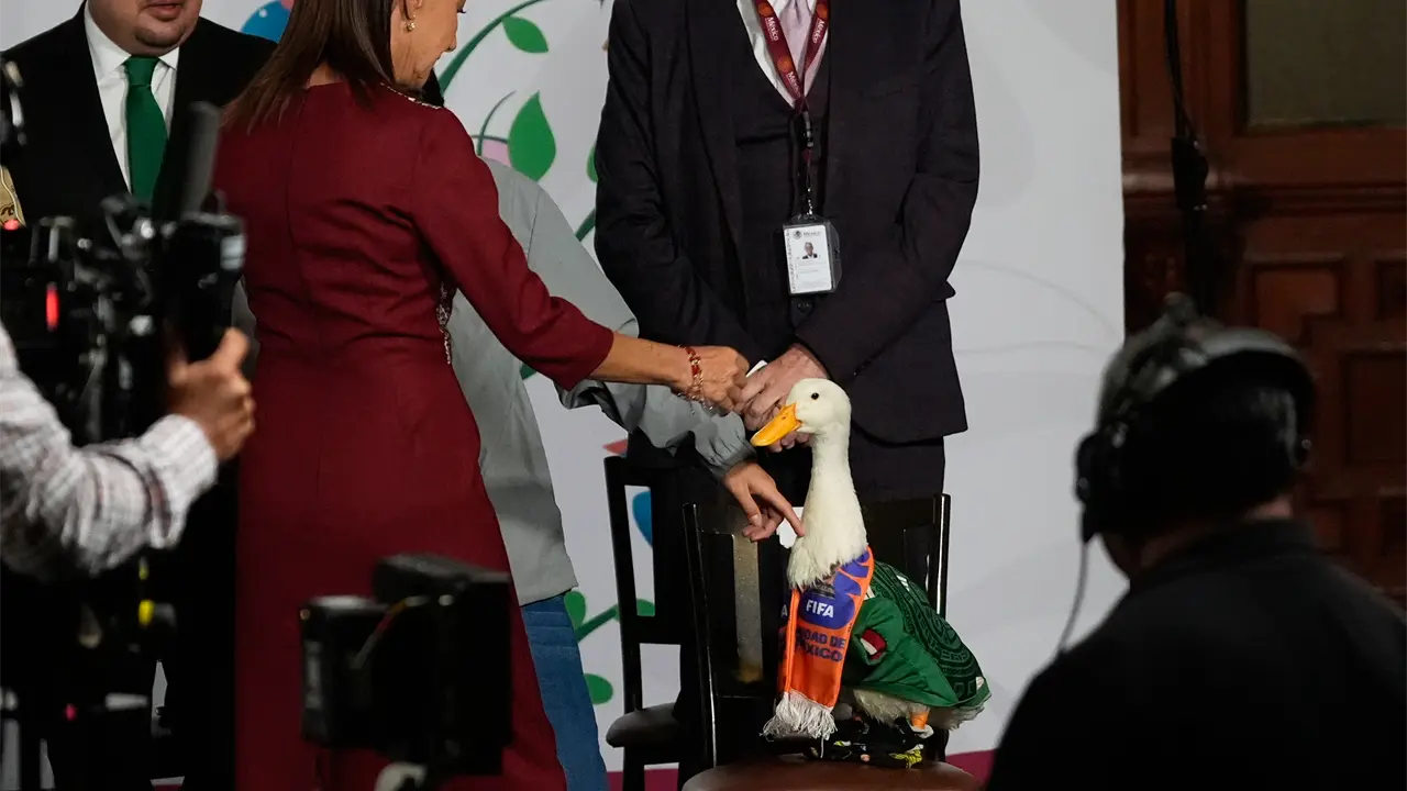 Pato Merlín es presentado por Claudia Sheinbaum en conferencia