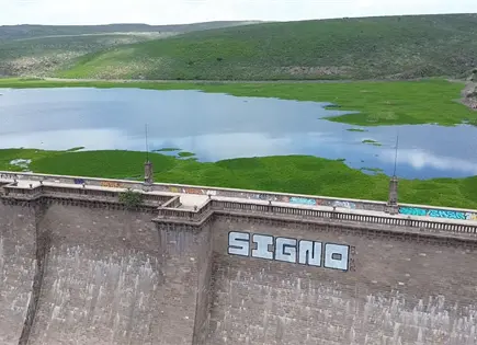 Nada concreto para atender lirio en la presa: Galindo Nada concreto para atender lirio en la presa: Galindo