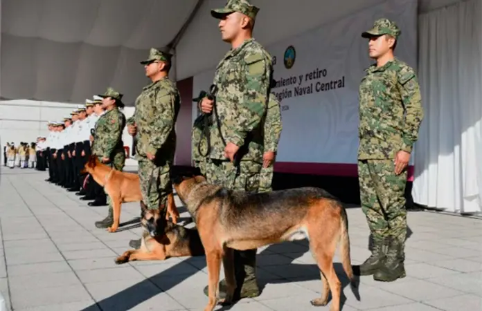 Semar rinde homenaje a caninos jubilados Niko, Hunter e Hidra