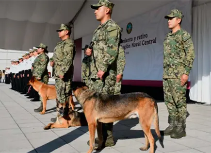 Semar rinde homenaje a caninos jubilados Niko, Hunter e Hidra