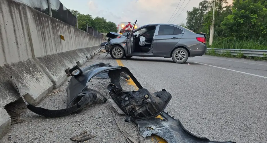 Conductor se estrella en muro al esquivar a un perro