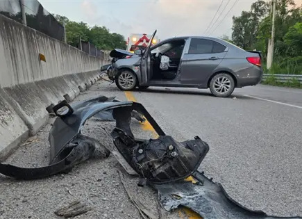 Conductor se estrella en muro al esquivar a un perro