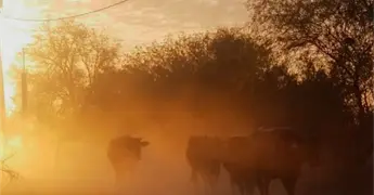 OMM alerta persistencia de El Ni&ntilde;o hasta 2027