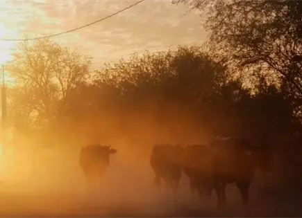 Fen&oacute;meno de El Ni&ntilde;o provocar&aacute; un verano de calor extremo en M&eacute;xico