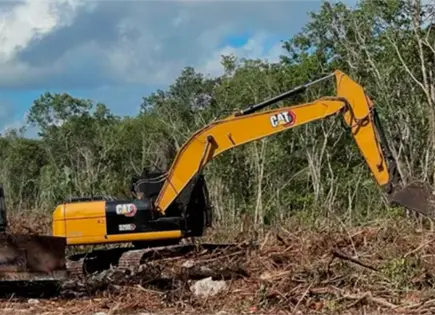 ONG denuncian construcción ilegal de carretera en Tulum ONG denuncian construcción ilegal de carretera en Tulum