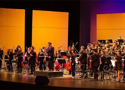 ORQUESTA SINF&Oacute;NICA UNIVERSITARIA en CONCIERTO 