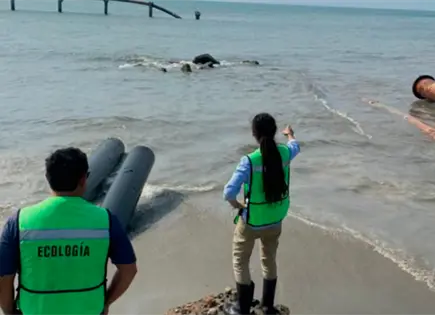 Pescadores denuncian nuevo derrame de hidrocarburo en La Ventosa
