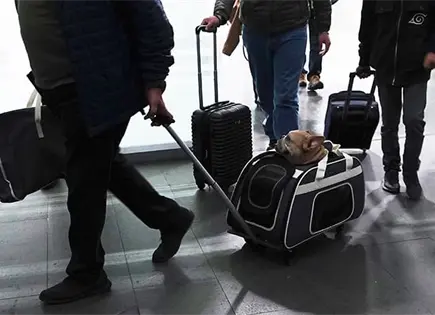 Se disparan 15% tarifas de hotel