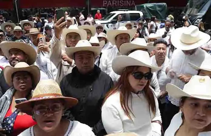 Grecia Quiroz defiende candidaturas sin partido